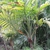 Form