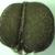 Chamaesyce nutans