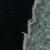 Chamaesyce prostrata leaf margin