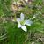 Form