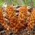 Conopholis americana