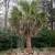Form - March 6 - Mecklenburg Co., NC