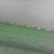 Leaf margin