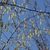 Form