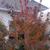 Fall Form
