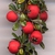 Cotoneaster integrifolius