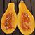 Cucurbita moschata
