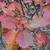 Leaves in Fall
