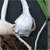 3 images of corm, stripped corm & longi-section corm