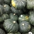 Large, green kabocha squash piled at a market