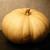 Long Island cheese squash