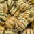 Cucurbita pepo