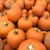 Large, orange pumpkins piled at a market