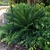 Form - June - Wake Co., NC