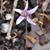 Cyclamen hederifolium