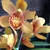 Yellowish flower with spotted inner petals