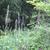 Native habitat