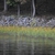 Form - Fall - Warren Co., - NC