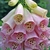 Close-up of raceme of pink, tubular flowers with spots inside.