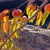 Branches bearing leaves turning orange & reddish orange fruits
