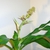 Form