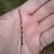 Hand cradling a stalk with capsules borne on one side.