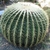 Form