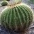 Form
