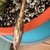 Flower bud and stem