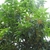 Form