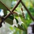 Flower and stem in Dec.