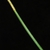 Eleocharis interstincta
