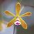 Flower close up