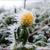 Sculptural in the winter