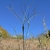 Form