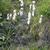 Form