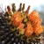 A cylindrical, spiny cactus with several orange flowers.