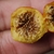 Fruit cut open to reveal seeds