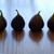 Ficus carica 'Brown Turkey'