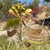Flower, buds & fruit in August in San Bernadino, California