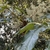 Flowers and leaves in November in Chiayi County, Taiwan