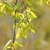 Flowers & Leaves in March in Zhejiang, China