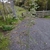 Flowers in October in Orere Point, New Zealand