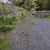 Flowers in October in Orere Point, New Zealand