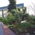 Form in April in Salt Lake City, Utah