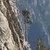 Form in August in Epirus, Greece