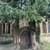 A pair of massive, old trees flanking a church door.