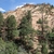Form in Gifford Canyon in Utah