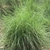 Form in May in Badung, Bali
