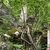 Form in May in Chatanooga County, Georgia